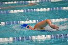 Swimming & Diving vs Babson  Swimming & Diving vs Babson College. - Photo by Keith Nordstrom : Wheaton, Swimming
